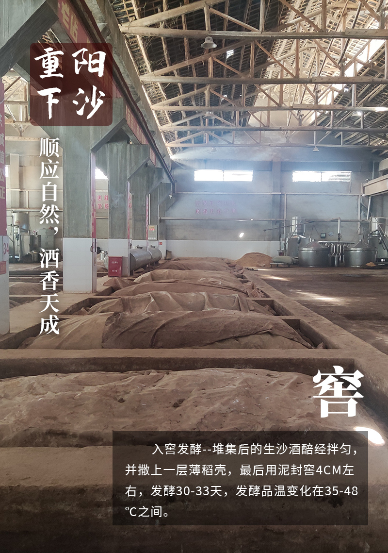下沙1_08.jpg
