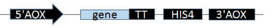 ĸ