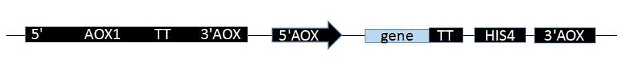 3AOX