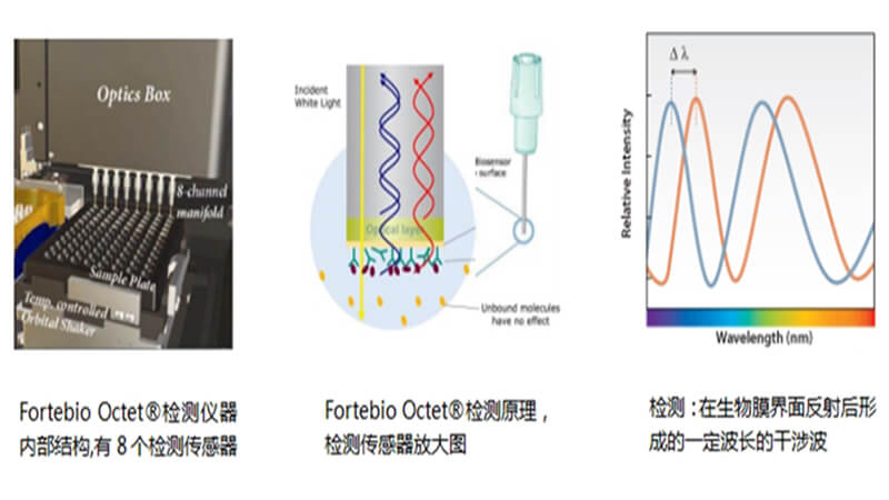Fortebio Octet?ʵԭ