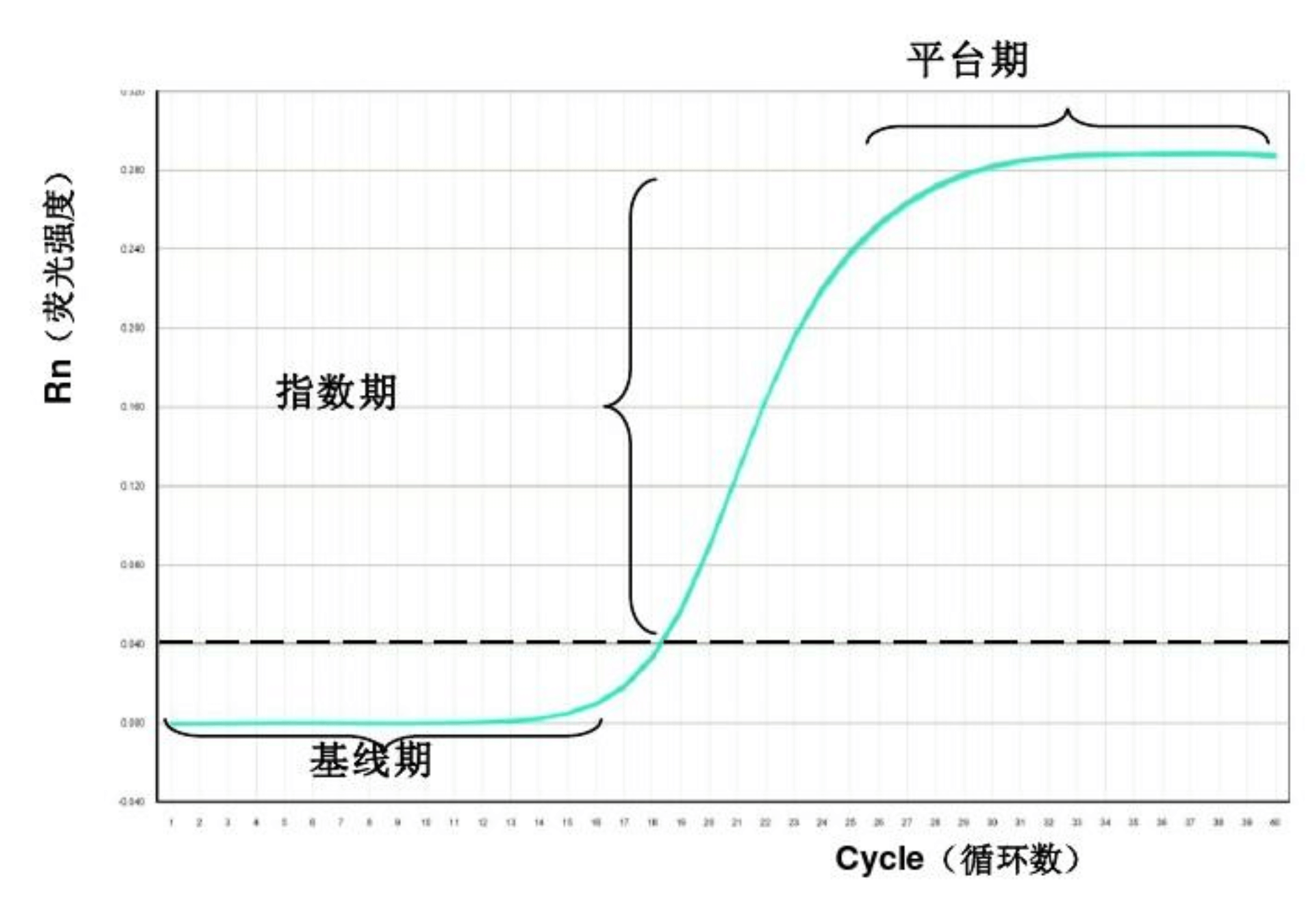 ӫⶨPCR