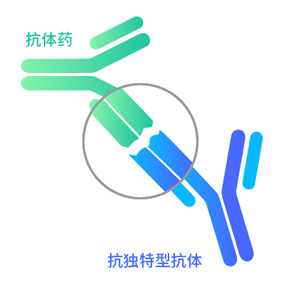 ȫ