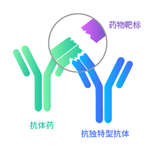 ȫ