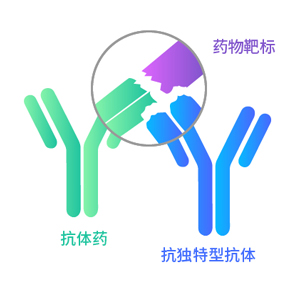ȫ
